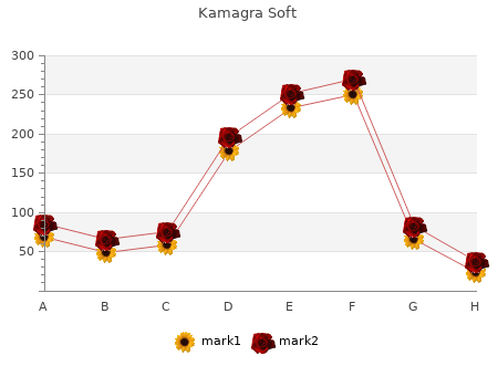 buy kamagra soft 100mg with amex